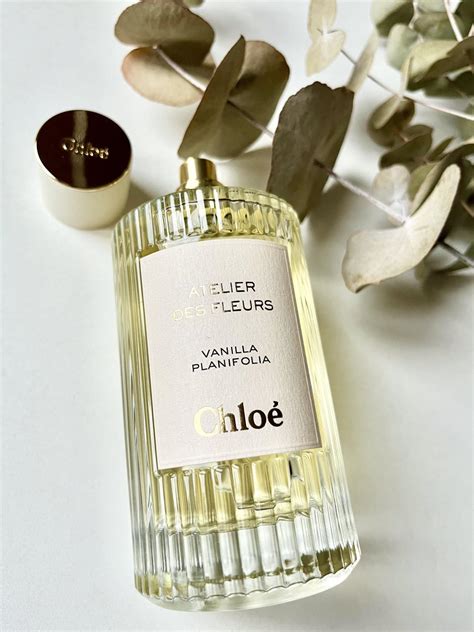 chloe vanilla planifolia dupe|chloe vanilla planifolia perfume.